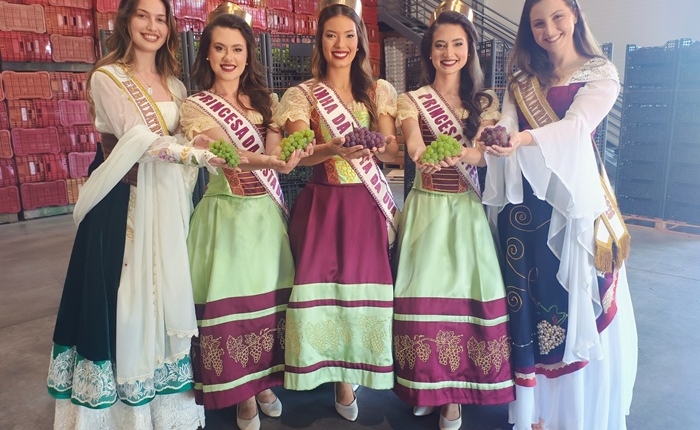 Festa da Uva começa a receber as primeiras uvas que serão distribuídas gratuitamente